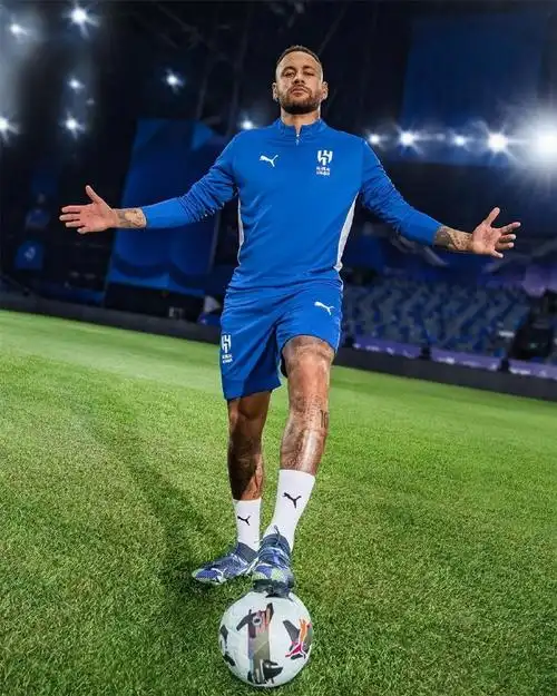 罚的可靠性 罚的可靠性